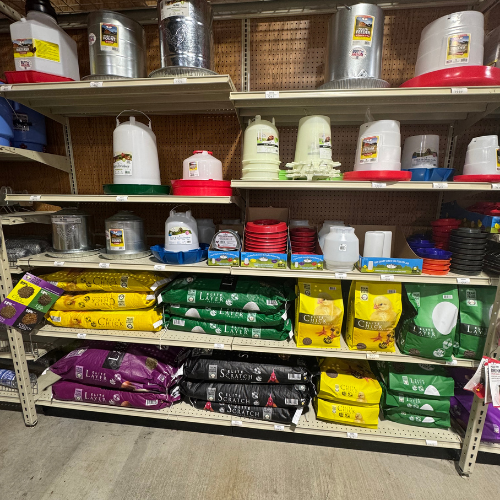 Farm supplies on display inside of McGregor General Store.