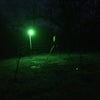 All Seasons Feeders ASF Boar Light