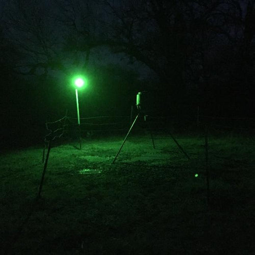 All Seasons Feeders ASF Boar Light