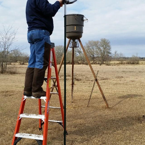 All Seasons Feeders ASF Boar Light