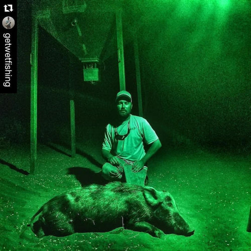All Seasons Feeders ASF Boar Light
