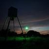 All Seasons Feeders ASF Boar Light