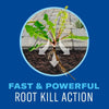 BioAdvanced Weed & Grass Killer Ready-to-Use