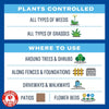 BioAdvanced Weed & Grass Killer Ready-to-Use