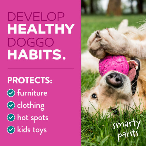 TropiClean Chew Stop Dog Behavior Aid Home Spray 3-In-1