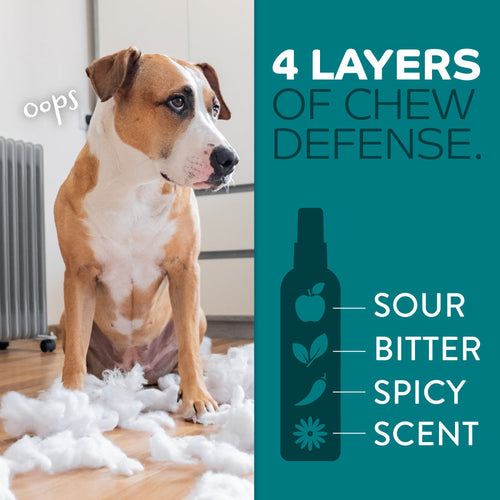 TropiClean Chew Stop Dog Behavior Aid Home Spray 4-In-1