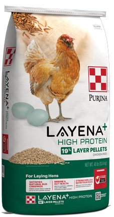 Purina® Layena® + High Protein 19% Layer Hen Feed