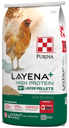 Purina® Layena® + High Protein 19% Layer Hen Feed