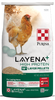 Purina® Layena® + High Protein 19% Layer Hen Feed