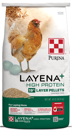 Purina® Layena® + High Protein 19% Layer Hen Feed