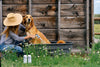 Barn Dog Shampoo for Dogs