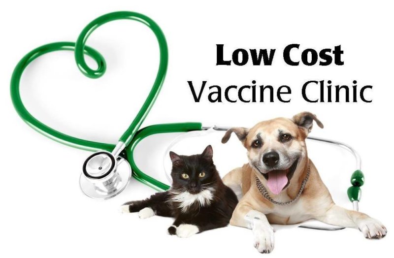 Low Cost Vaccine Clinic McGregor General Store