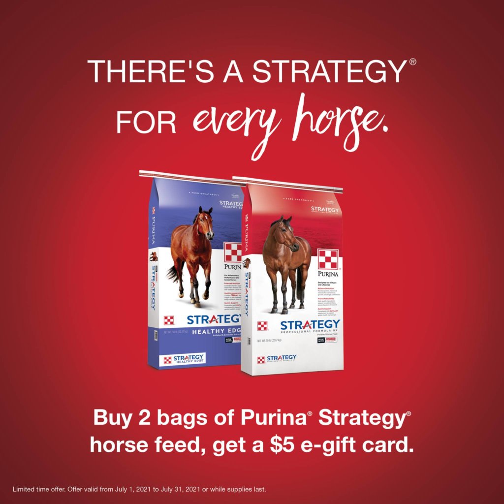 strategy healthy edge july promo purina horse feed