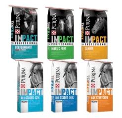 purina impact horse feed buy 3 get 1 free feed greatness professional