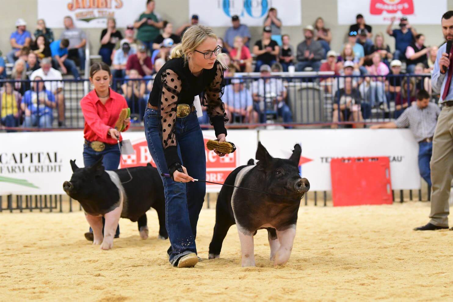 HOt waco fair rodeo livestock show pig sheep ffa 4h extraco event center sullivan lindner moorman jacoby honor show chow feed greatness