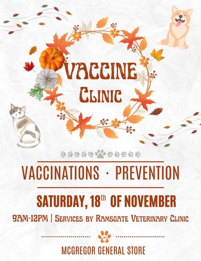dogs cats vaccination clinic ramsgate pet clinic veterinary vet dog cat kittens puppies puppy vaccines